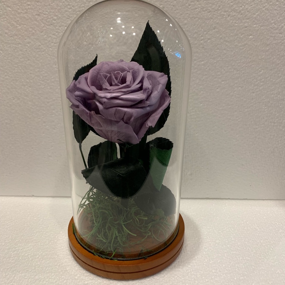 Preserved roses / Rosas Preservadas